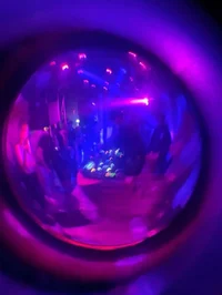 The Party Never Ends