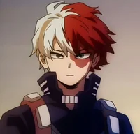 Shoto Todoroki