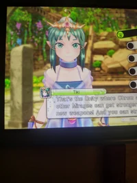 Tiki TMS 