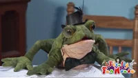 Friendship Frog- WWE