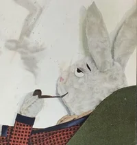 PlayBoy Bunny