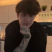 Диса Бендер 