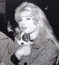 BRIGITTE BARDOT 