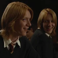 Weasley Twins 