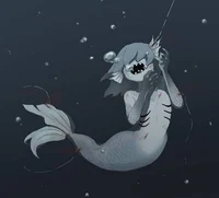 Ningen chan