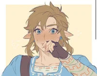 BOTW l Link