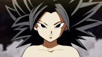 AU Caulifla