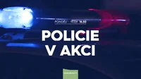 Policie v akci 