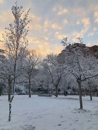 A horrible Christmas