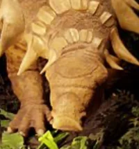 Edmontonia