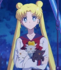 Usagi Tsukino 