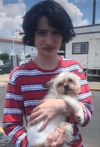 Finn Wolfhard 