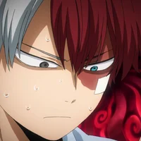 MHA-Shoto Todoroki
