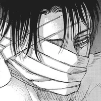Levi Ackerman - BR