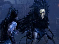 Valravyn - HELLBLADE