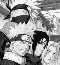 Team 7