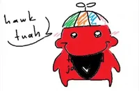Hawk Tuah c00lkidd