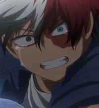 Shoto Todoroki 