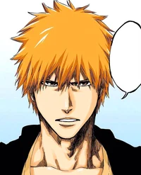 Ichigo Kurosaki 