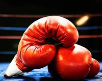 Boxing carrer 