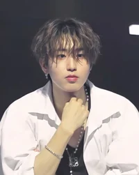 Han Jisung