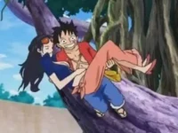 Luffy x Robin