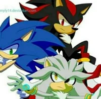 Sonic Shadow Silver