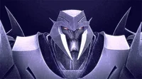 Megatron TFP 