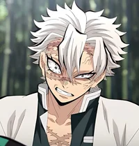 Sanemi Shinazugawa