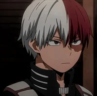 Shoto Todoroki 