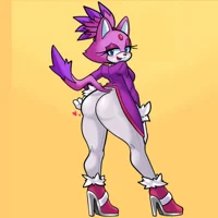 Blaze the cat