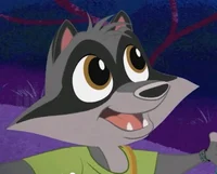 Oliver Raccoon