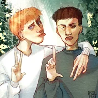 данила кашин