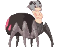 Arachne-Echidna Wars