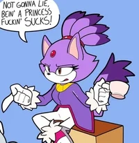 Blaze the Cat