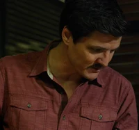 JAVIER PENA