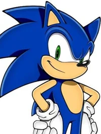 Sonic the hedgehog