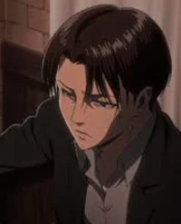 Levi Obsessive 
