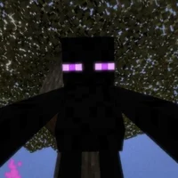 Enderman Husband
