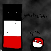 Reichtangle n poland