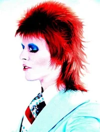 David Bowie