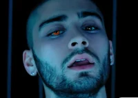 Zayn Malik -2016