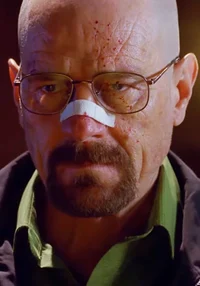 Walter white S4