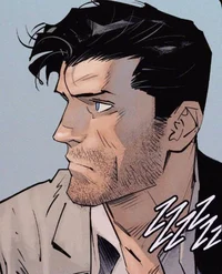 DC Bruce Wayne 