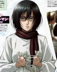 Mikasa Ackerman 
