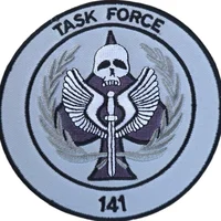 Task Force 141