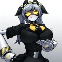 Serial Designation J