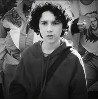 14 HENRY - MINECRAFT