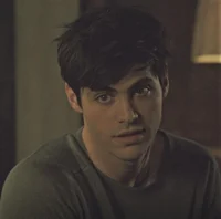 Alec Lightwood 