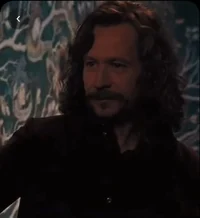 Sirius O Black